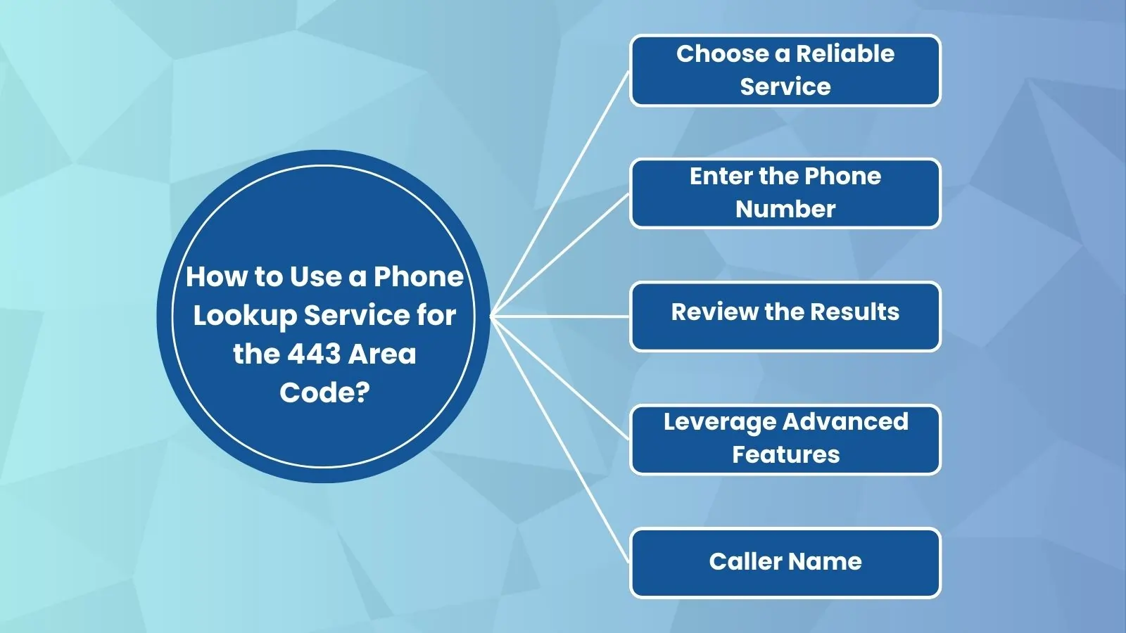 How to Use a Phone Lookup Service for the 443 Area Code?