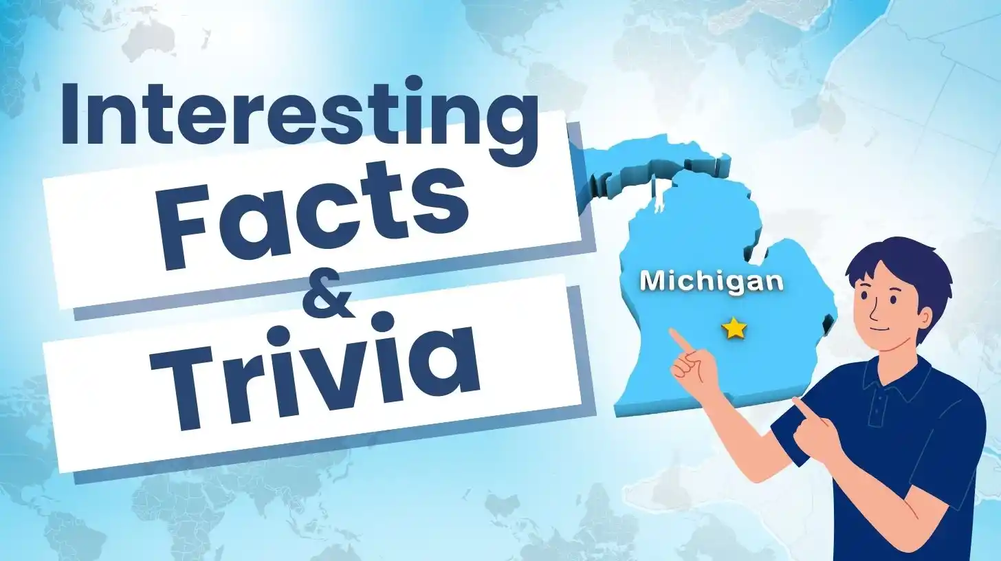 Unveiling the Secrets of Area Code 231: Interesting Facts and Trivia