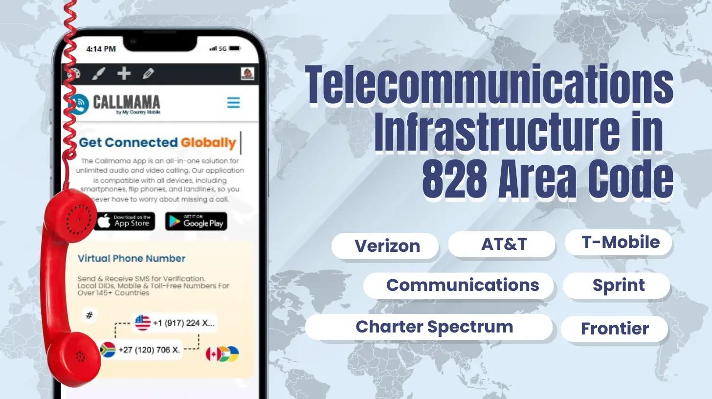 Telecommunications Infrastructure in 828 Area Code