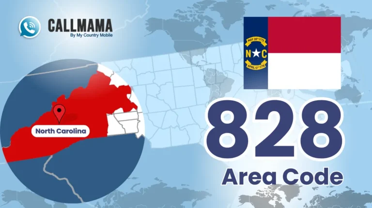 Understanding the 828 Area Code’s Impact on Local Businesses