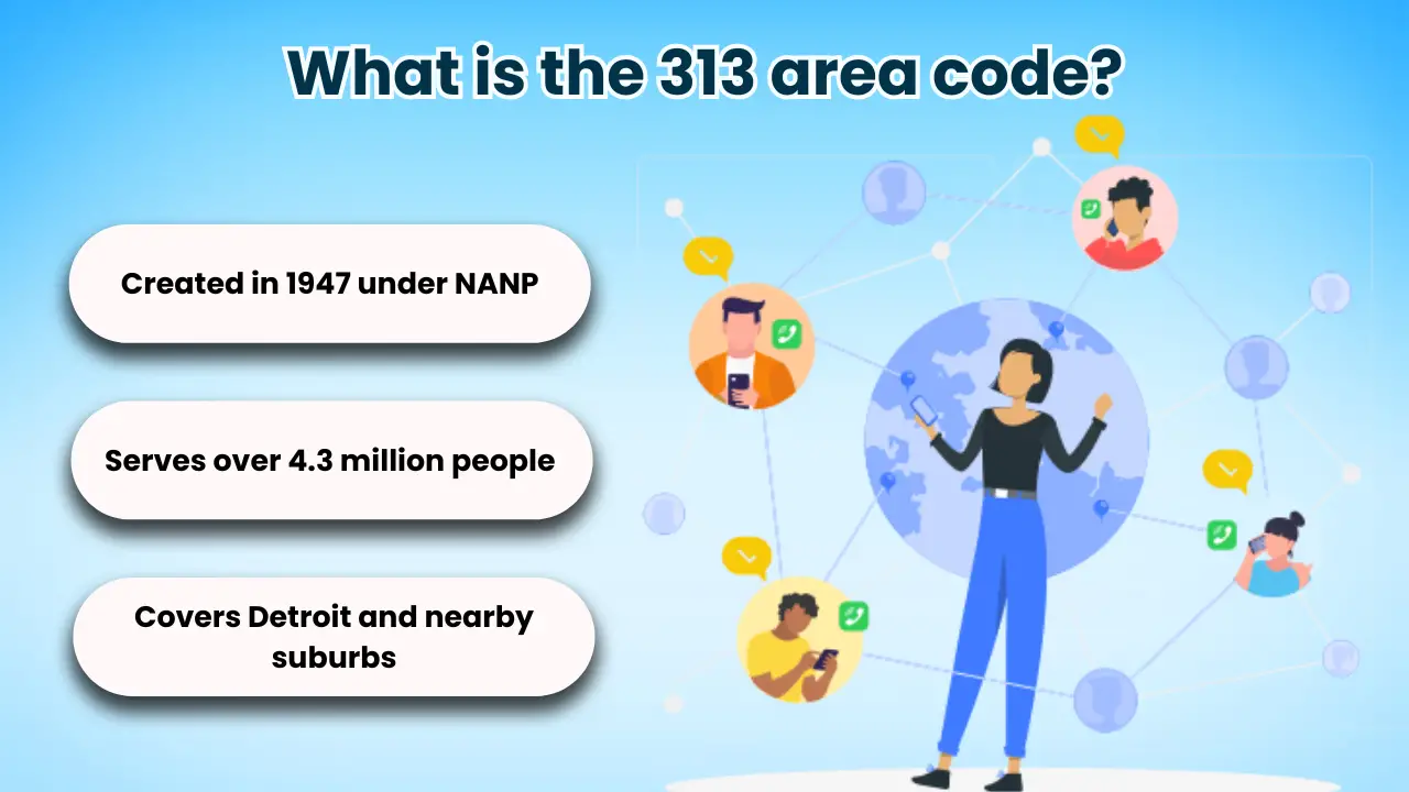 What is the 313 area code